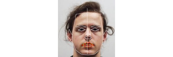Bioscrypt, face, recognition